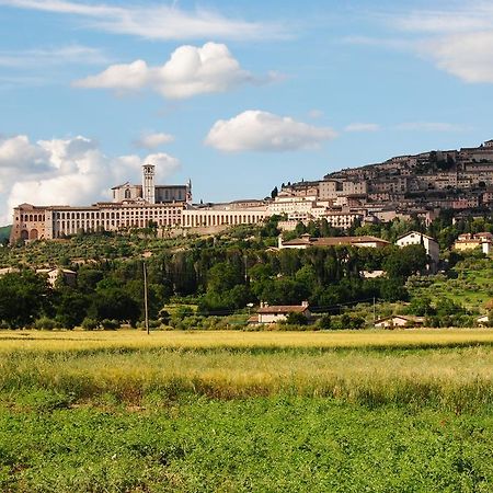 Vista Assisi Bed & Breakfast Dış mekan fotoğraf
