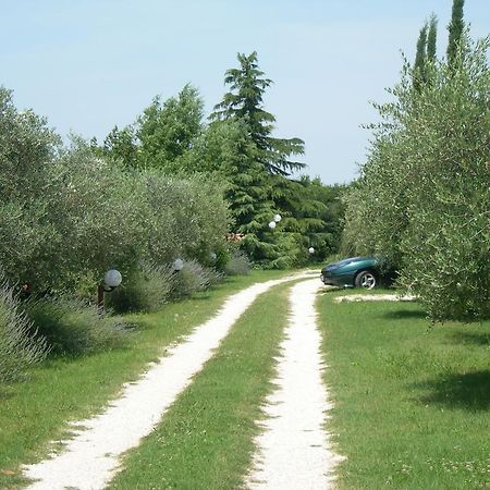 Vista Assisi Bed & Breakfast Dış mekan fotoğraf