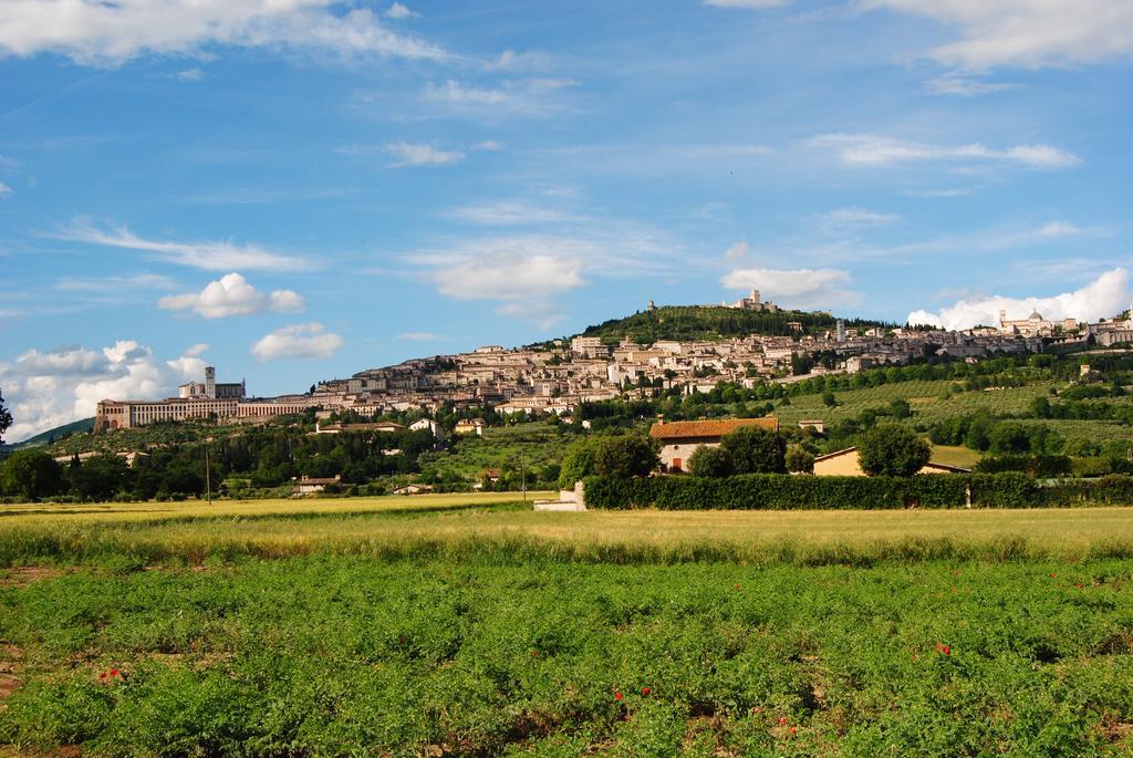 Vista Assisi Bed & Breakfast Dış mekan fotoğraf