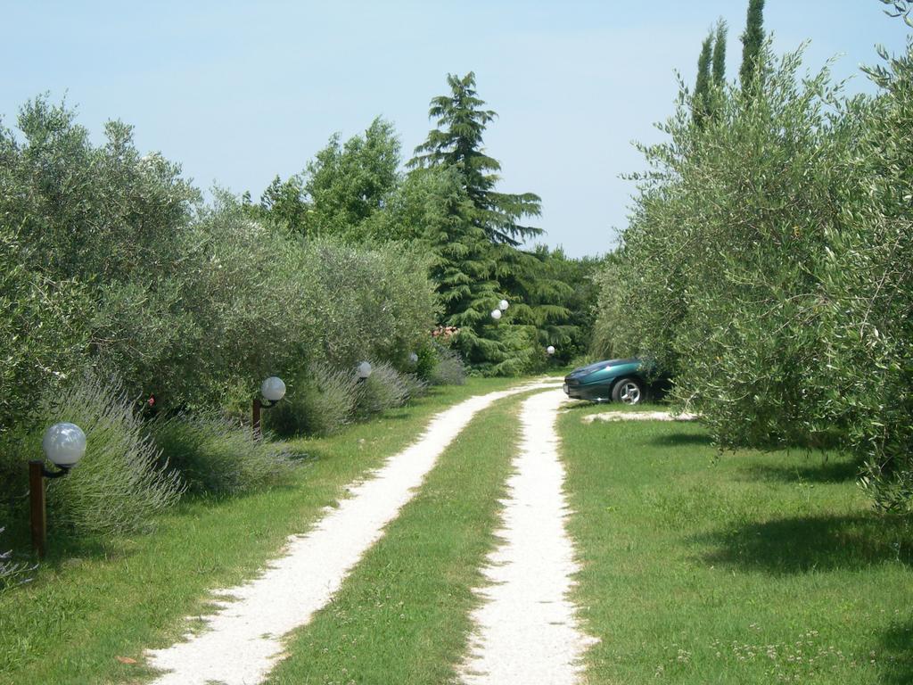 Vista Assisi Bed & Breakfast Dış mekan fotoğraf