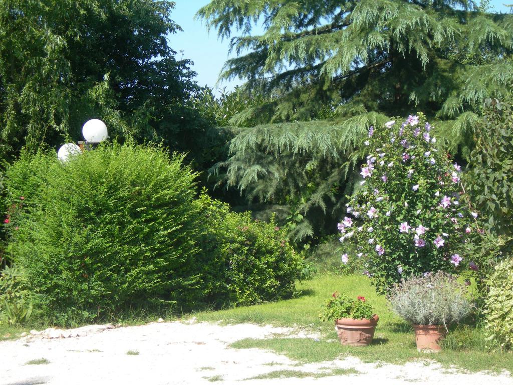 Vista Assisi Bed & Breakfast Dış mekan fotoğraf