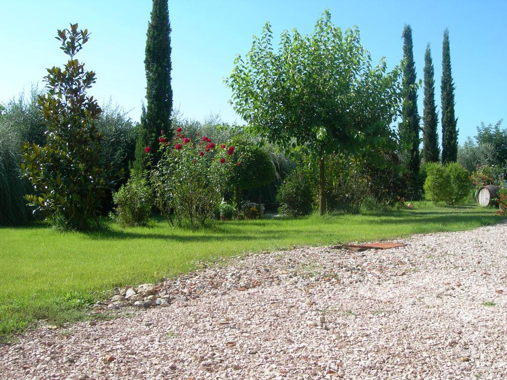 Vista Assisi Bed & Breakfast Dış mekan fotoğraf
