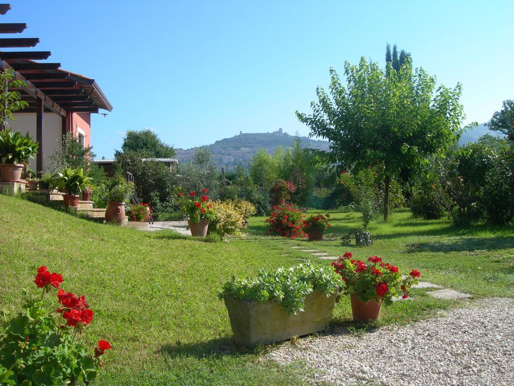 Vista Assisi Bed & Breakfast Dış mekan fotoğraf