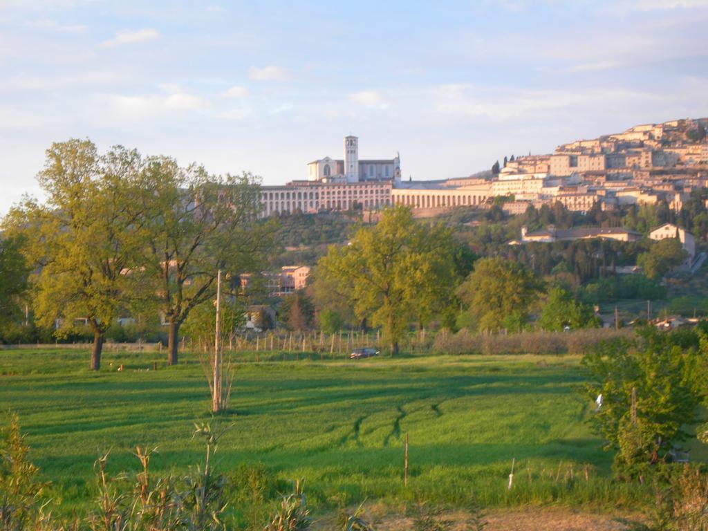 Vista Assisi Bed & Breakfast Dış mekan fotoğraf