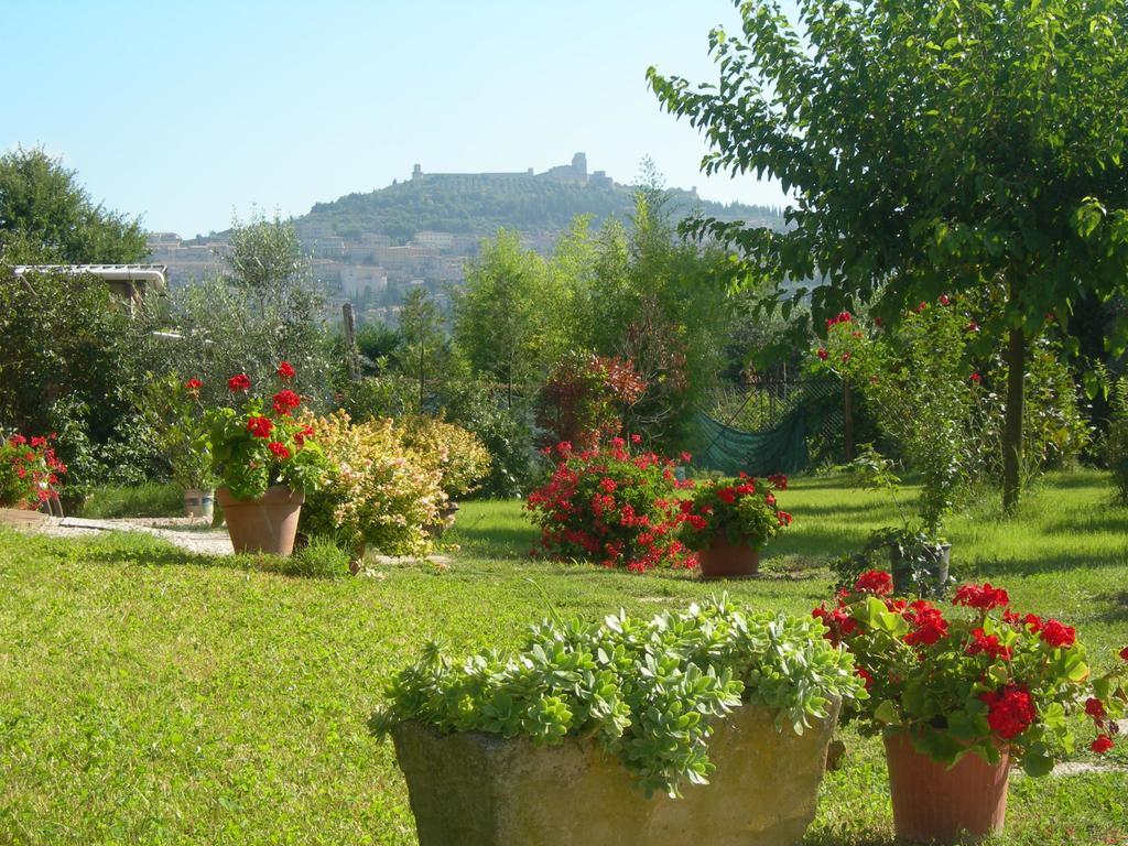Vista Assisi Bed & Breakfast Dış mekan fotoğraf