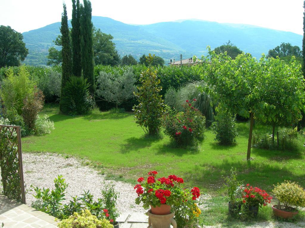 Vista Assisi Bed & Breakfast Dış mekan fotoğraf