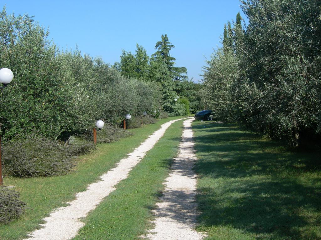 Vista Assisi Bed & Breakfast Dış mekan fotoğraf
